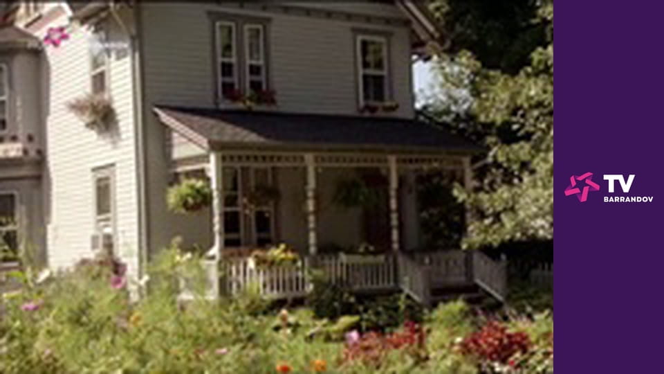 Katie Fforde: Maják lásky