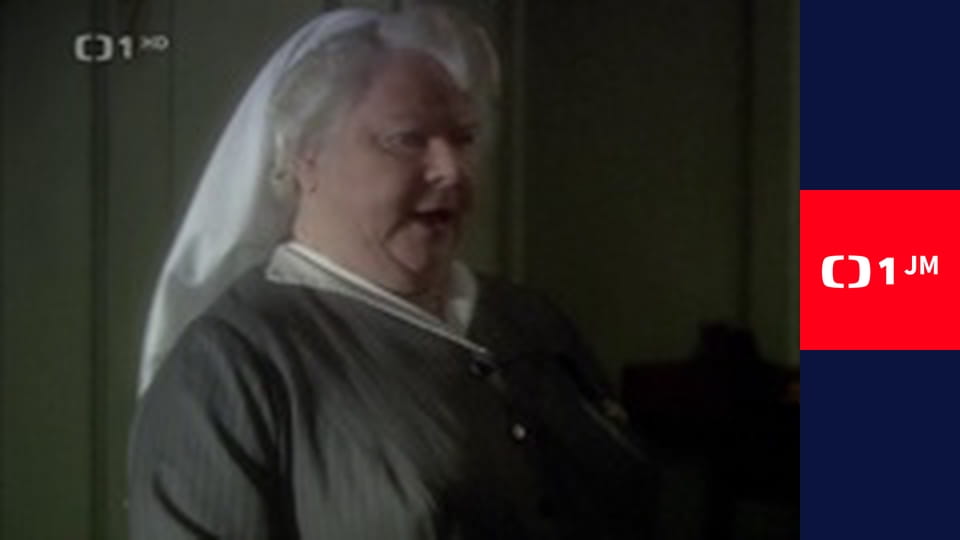 Hercule Poirot XI - Kočka mezi holuby