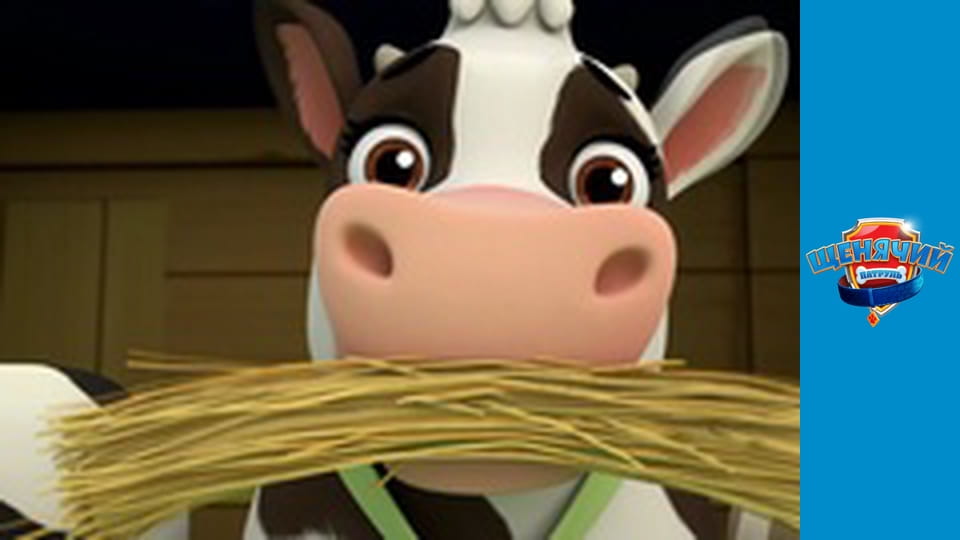 PAW Patrol. Season 1 - Episode 15