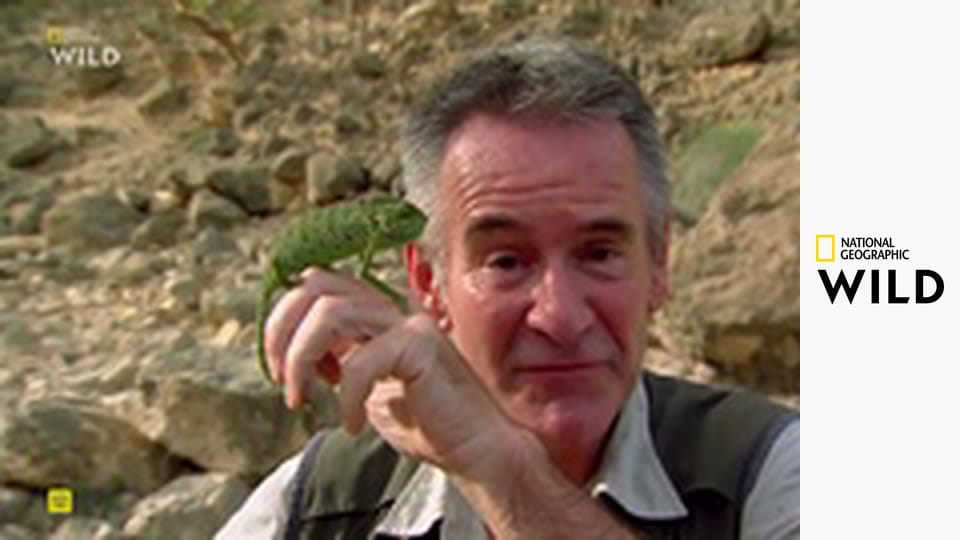 Deset nejnebezpečnějších hadů S3E4 - Arábie