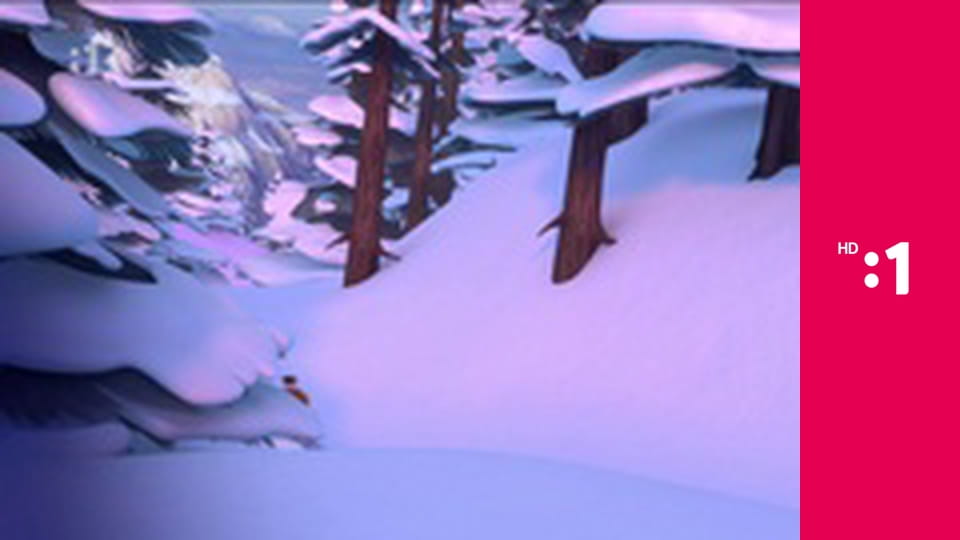 Paddington a jeho dobrodružstvá E61 - Paddington šampiónom