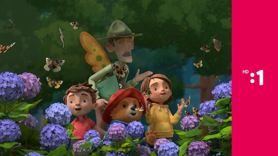 Paddington a jeho dobrodružstvá E61 - Paddington šampiónom