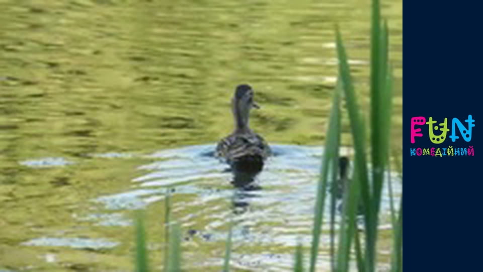 Exes - Season 2 Episode 8