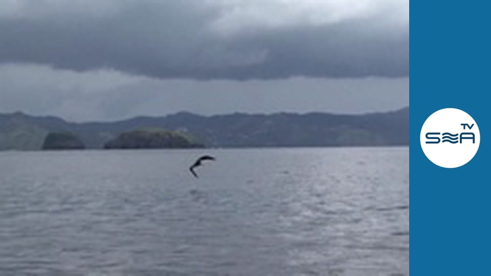 Into the Drink S01 - Costa Rica 2