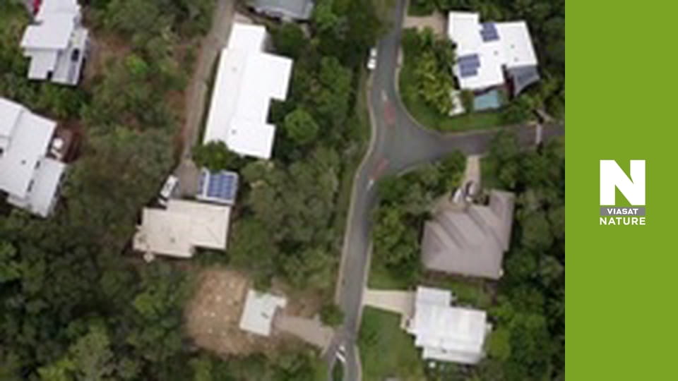 Aussie Snake Wranglers - Hide and Seek