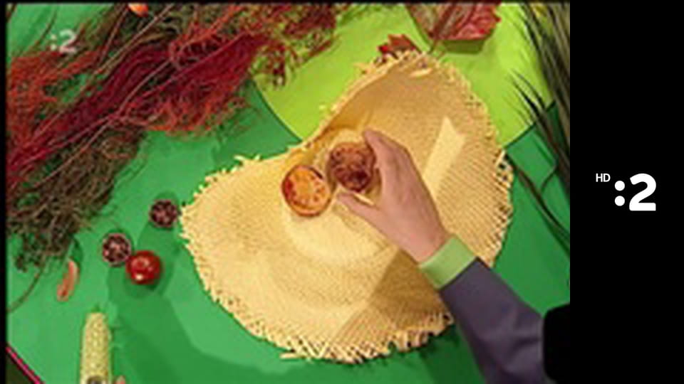 Byť tak zvieratkom E1 - Labuť