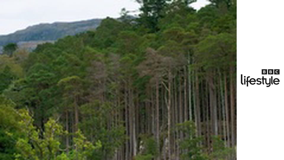 Niezwykłe hotele bez tajemnic S3E2