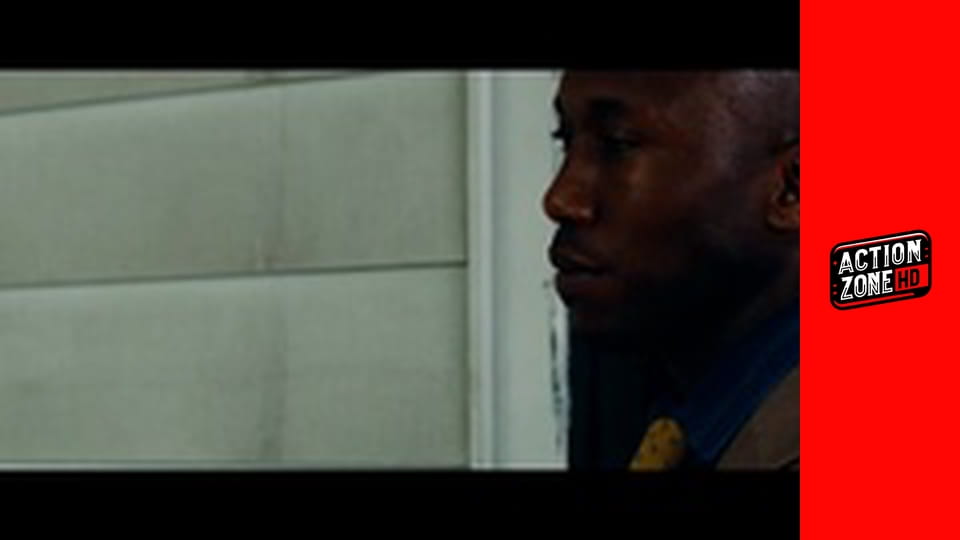 Za borovicovým hájem