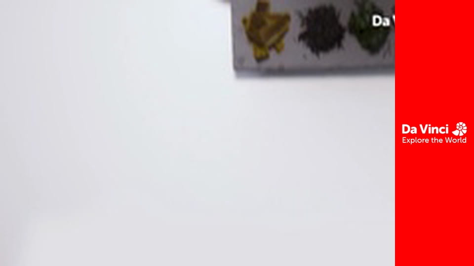 Tegyünk a bolygónkért - Tengeri növények