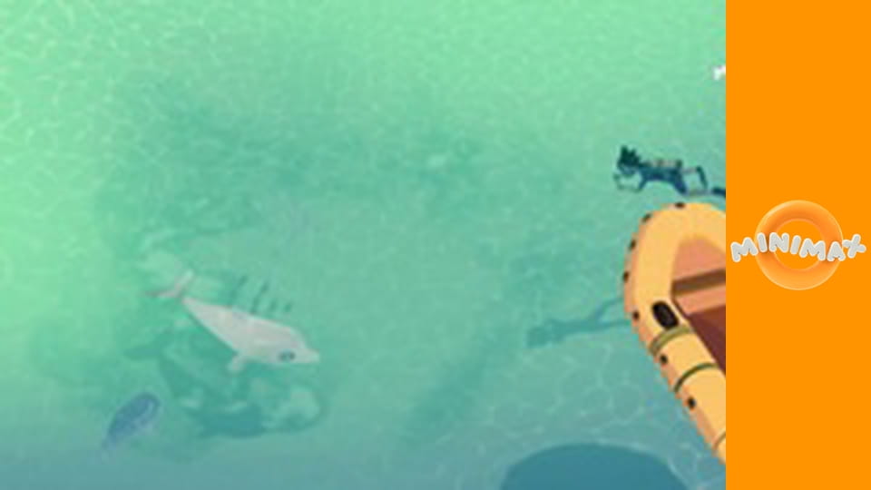 Příhody bílého delfína S3E41 - Táta Zoom