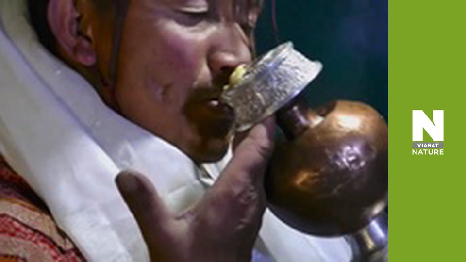 In Search of Snow Leopards: Chasing Shadows - Episode 1