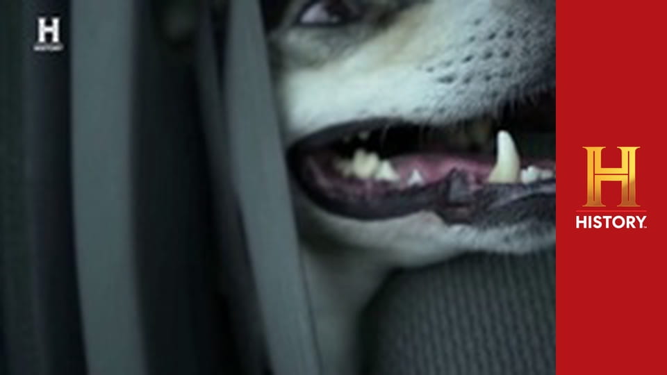 Звезды ломбарда: По всей Америке, 2 сезон, 12 эп. Сокровища двух городов.