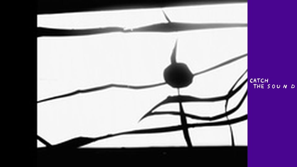 Liza Bibikova — Скажи мені