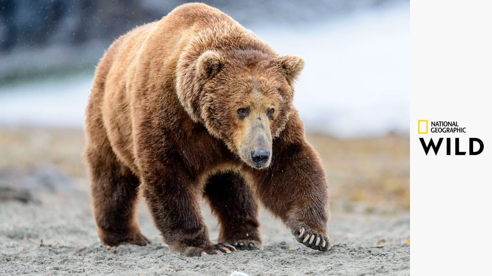 Королевы S1E5