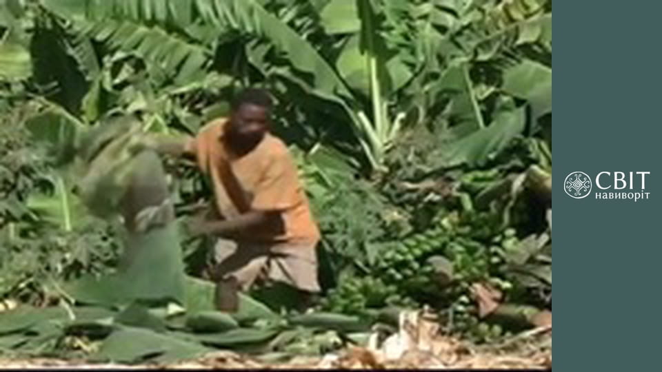 Сезон 3, Випуск 11, Танзанія