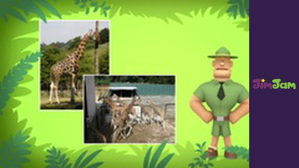 Leo the Wildlife Ranger S2E23 - The Wombat