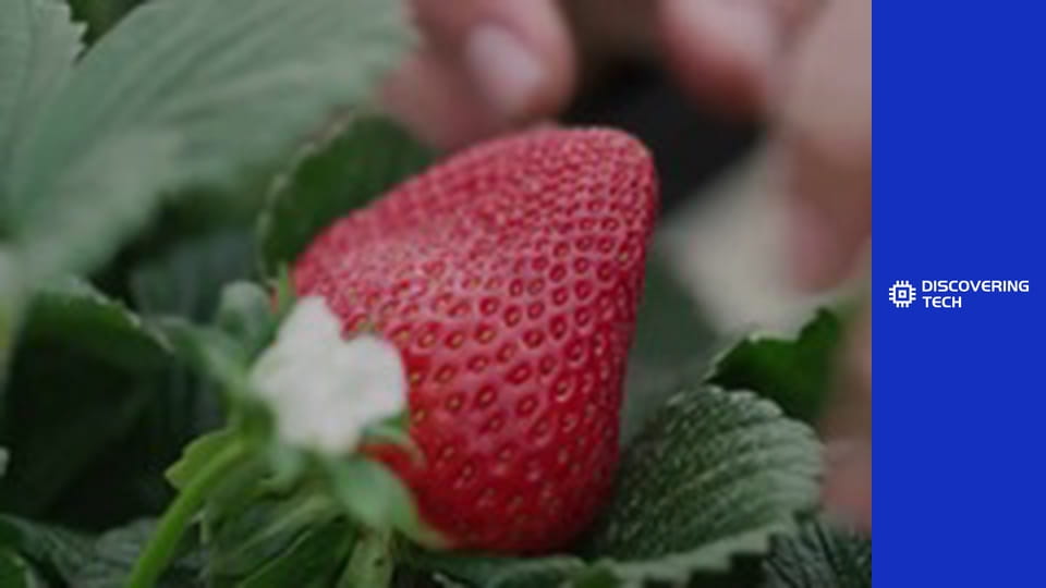 VOA TEK: Farm Innovations