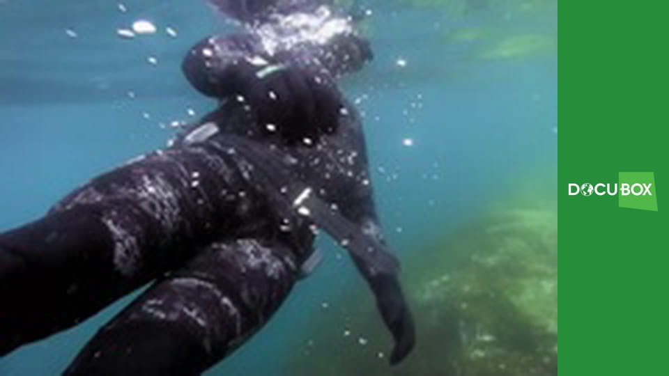 Polowa kuchnia Angela E8 - Małże