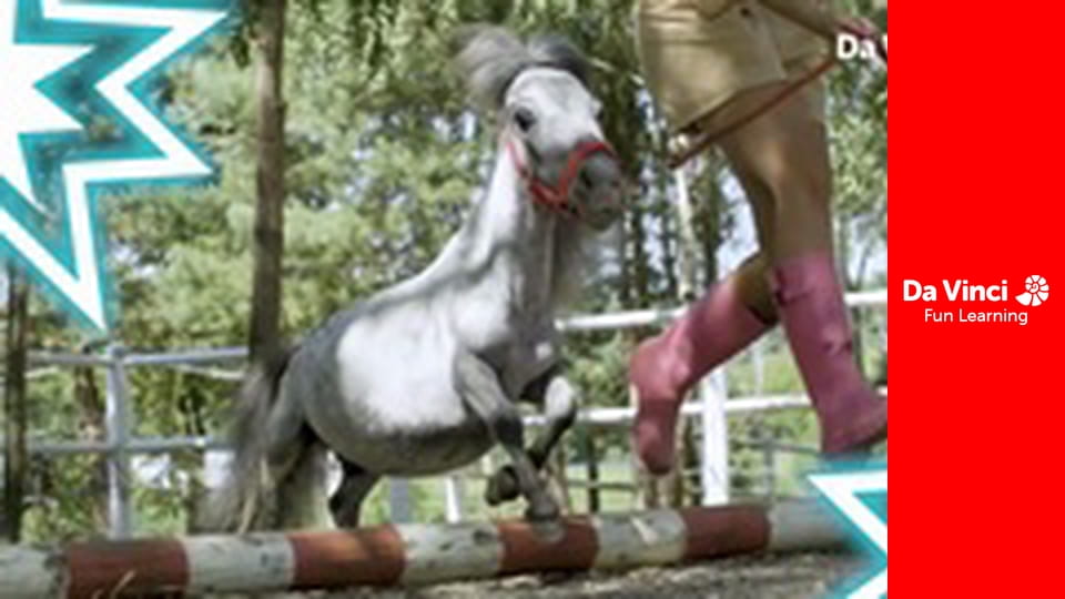 Legek legje - Giang Brothers: Interpreți de circ renumiți