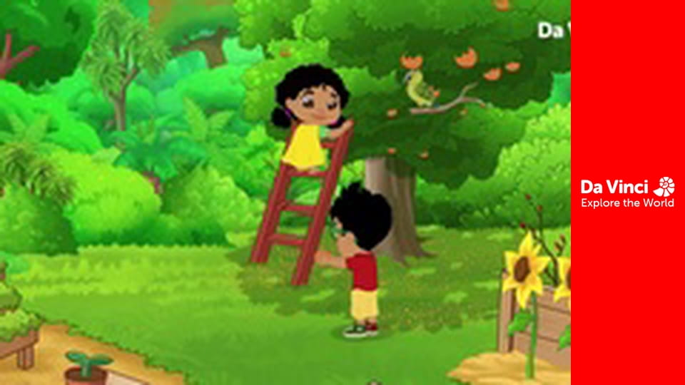 Darwin and Newts - Orange Power