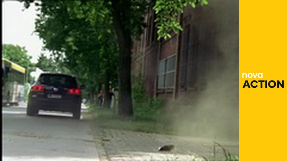 Kobra 11 S13E10 - Géniové mezi sebou