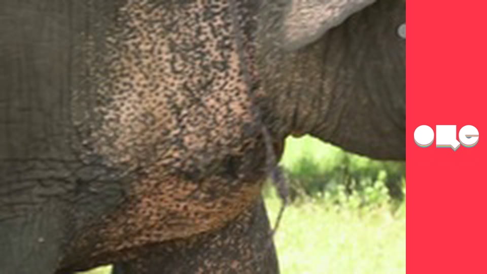 Особенности национальной работы, 2 сезон, 16 эп.