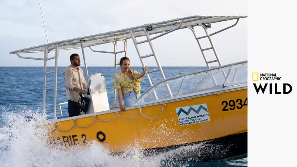 Tajemství chobotnic S1E1 - Mimikry