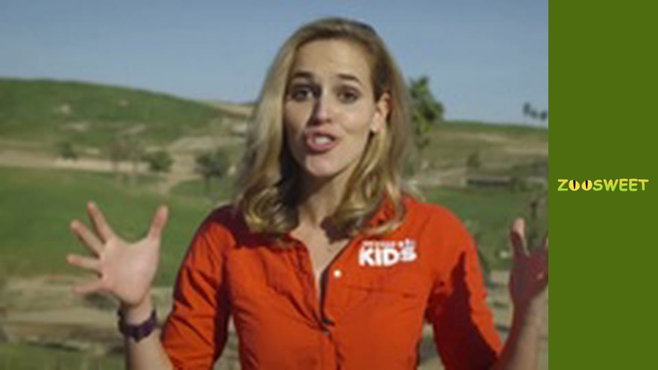 Wild World at the San Diego - episode 16