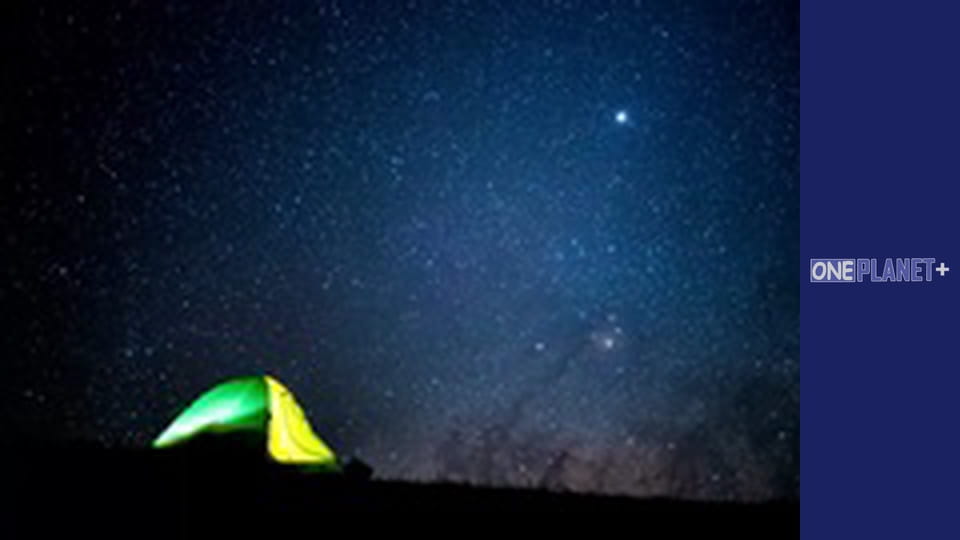 It is worth visiting. - episode 2