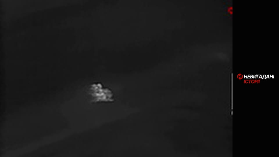 Невигадані історії. Бахмут. Рекси.