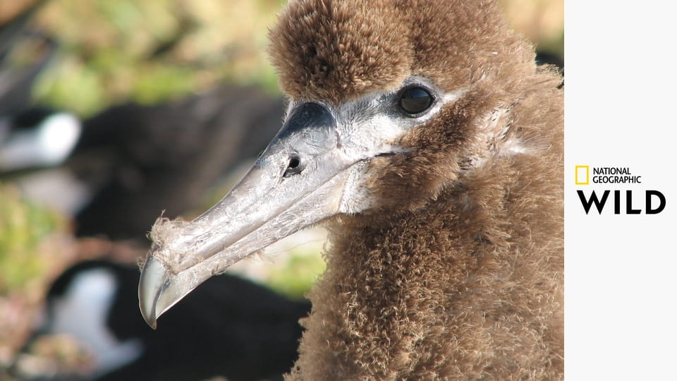 Просторы Америки S2E3 - Жемчужины "Земли каньонов"