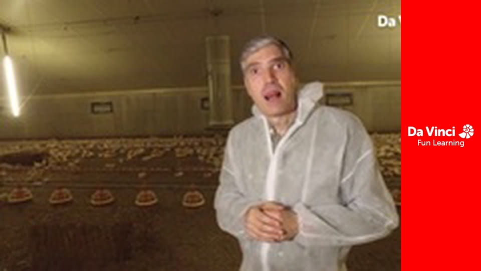 Futuris - Smart Animal Farm