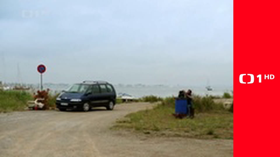 Candice Renoirová III