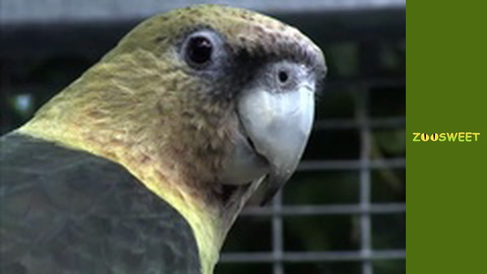 My favorite - episode 7