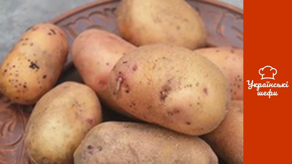 From the Chief - Series 19