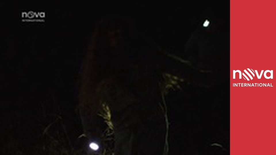 Kriminálka Anděl S5E5 - Známka