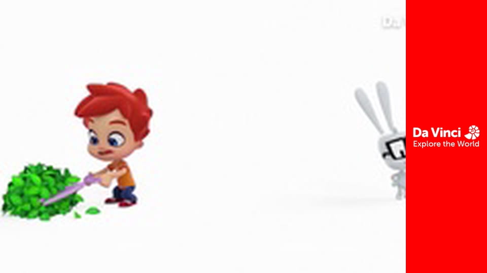 Briko - Carton de ouă