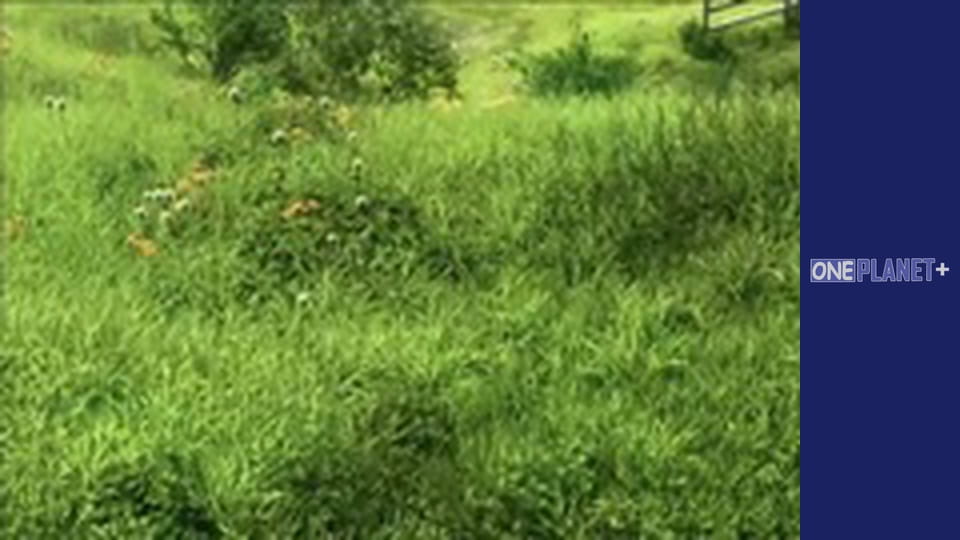 In search of knowledge. - episode 17