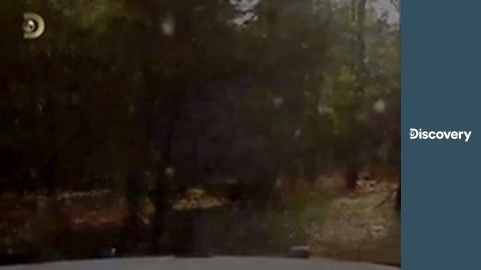 Prichytení pri čine II (5)