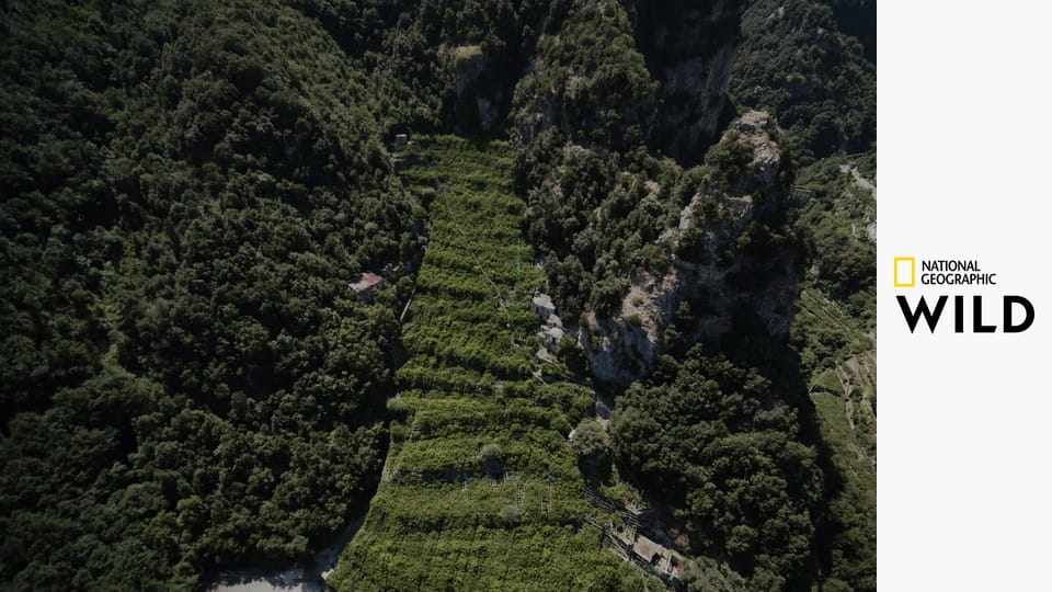 Europa z powietrza S5E2 - Wyspy Hiszpanii