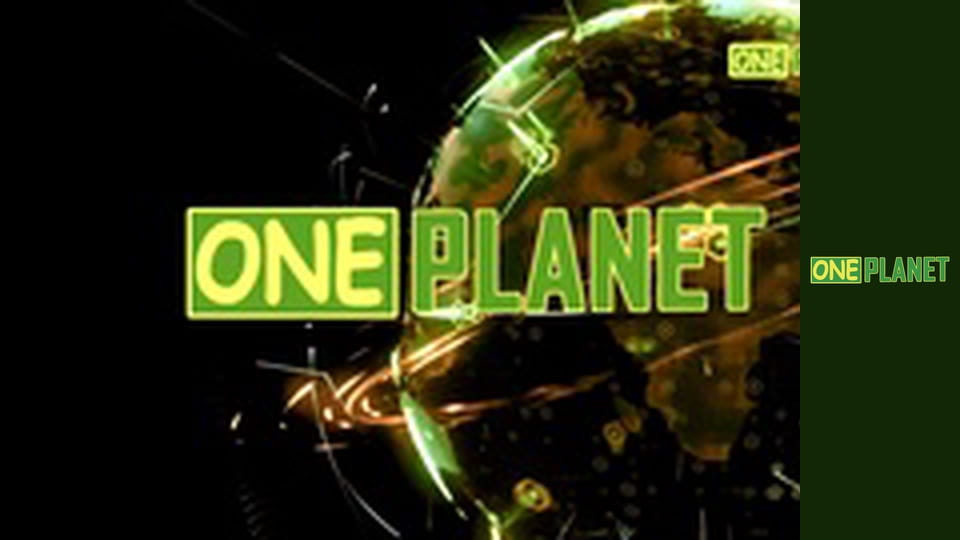 Дивовижне поруч, 8 еп.