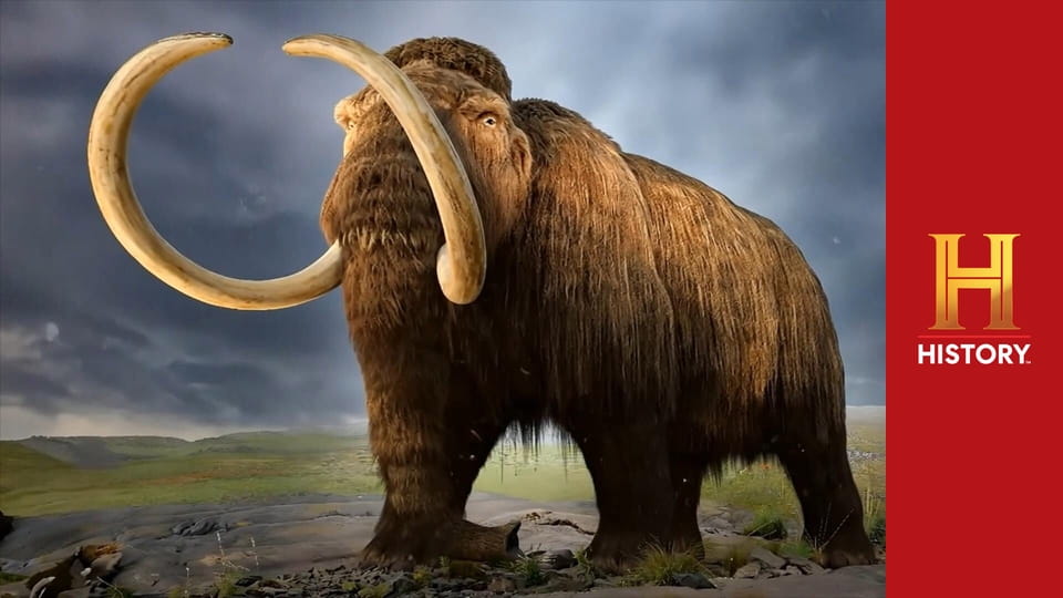 Tajemnice skute lodem S4E7 - Pole bitwy epoki lodowcowej