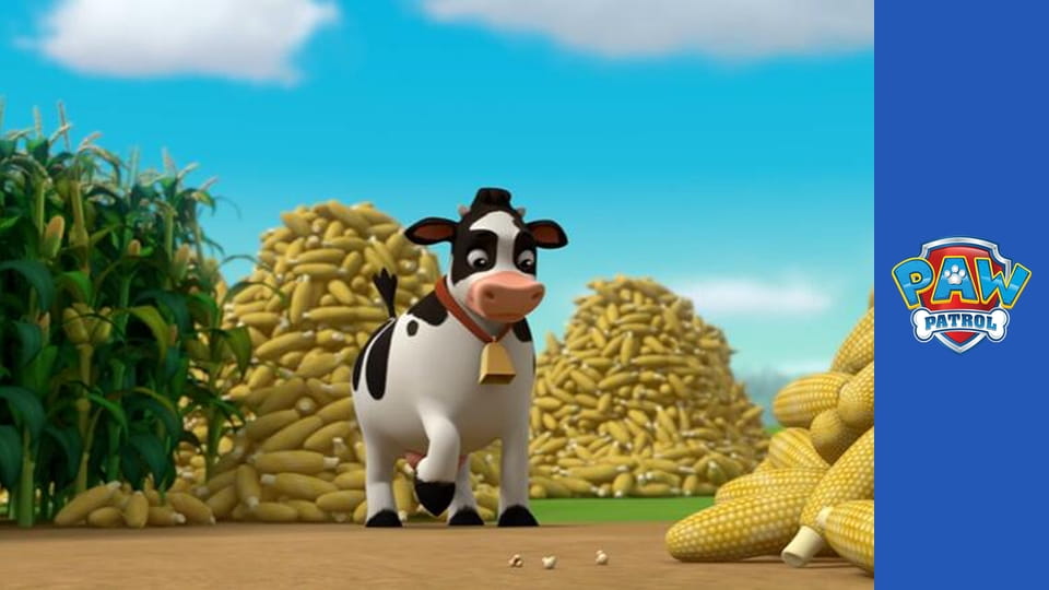 Paw Patrol Season 2 Episode 9