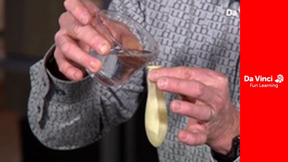 DIY SCI - Best Experiments