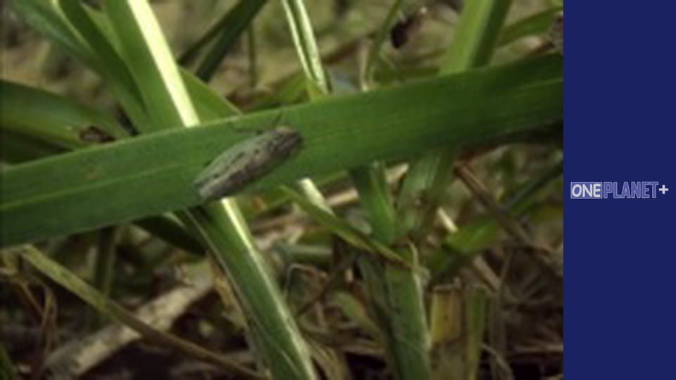 In search of knowledge. - episode 13