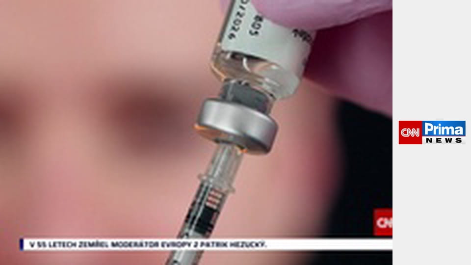 Estetika bez cenzury