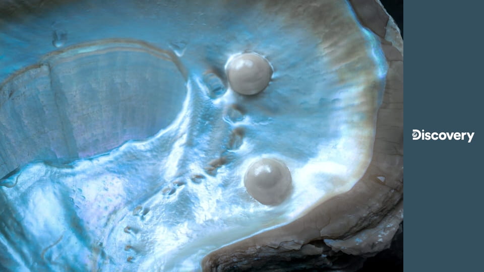 Jak to dělají? S15E14