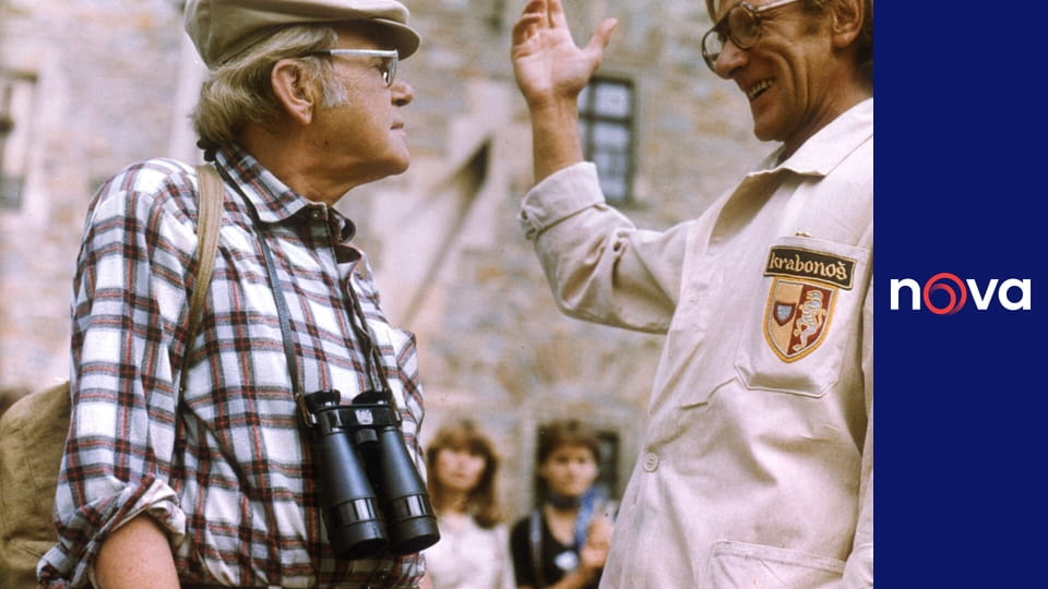 Kopretiny pro zámeckou paní