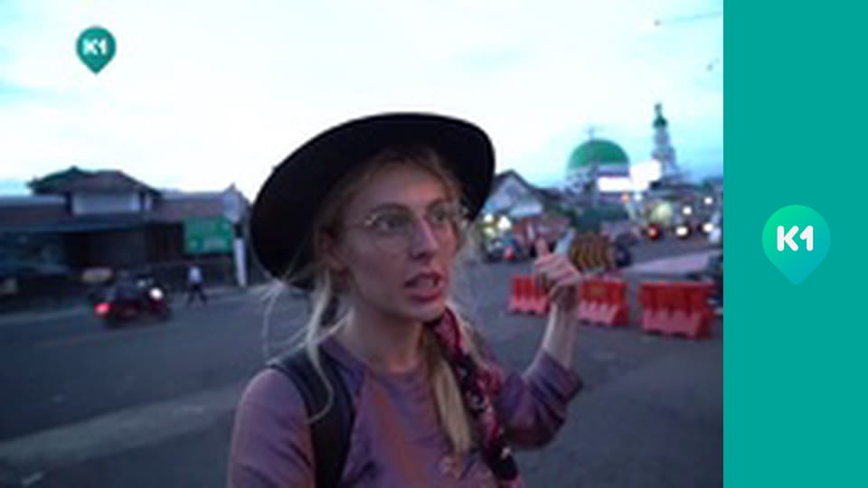 "Пригоди з Яною Метьолкіною".