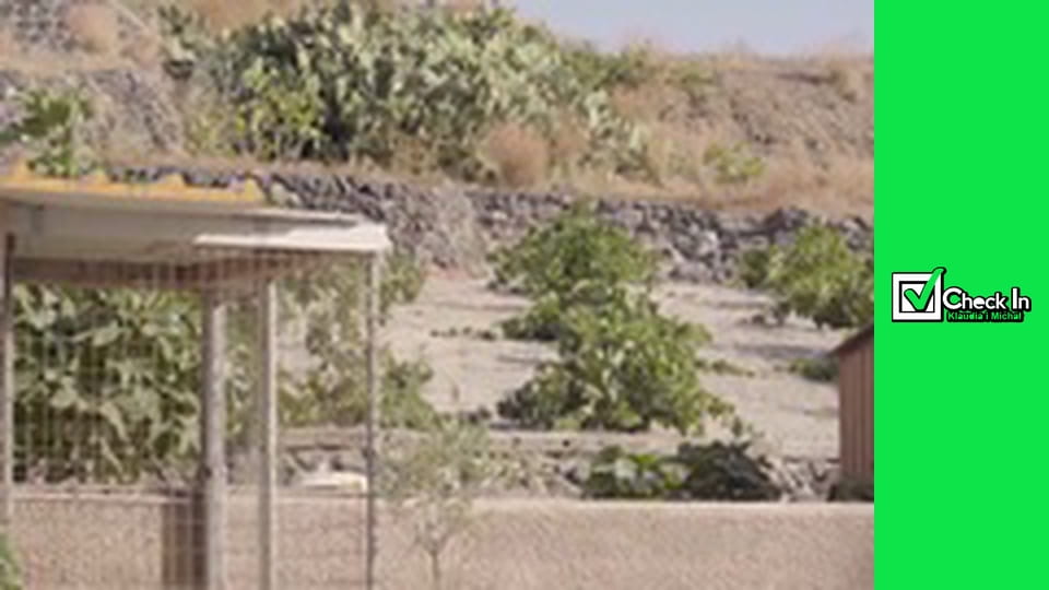 REJS po wyspach SANTORINI - Wulkan, Gorące źródła, Thirasia